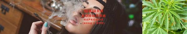 2c-b Армянск