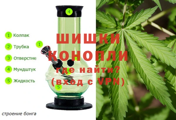 крисы Аркадак