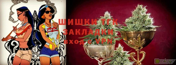 крисы Аркадак