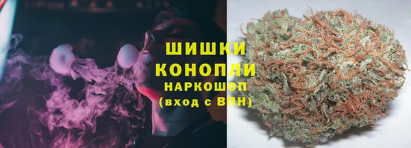 крисы Аркадак